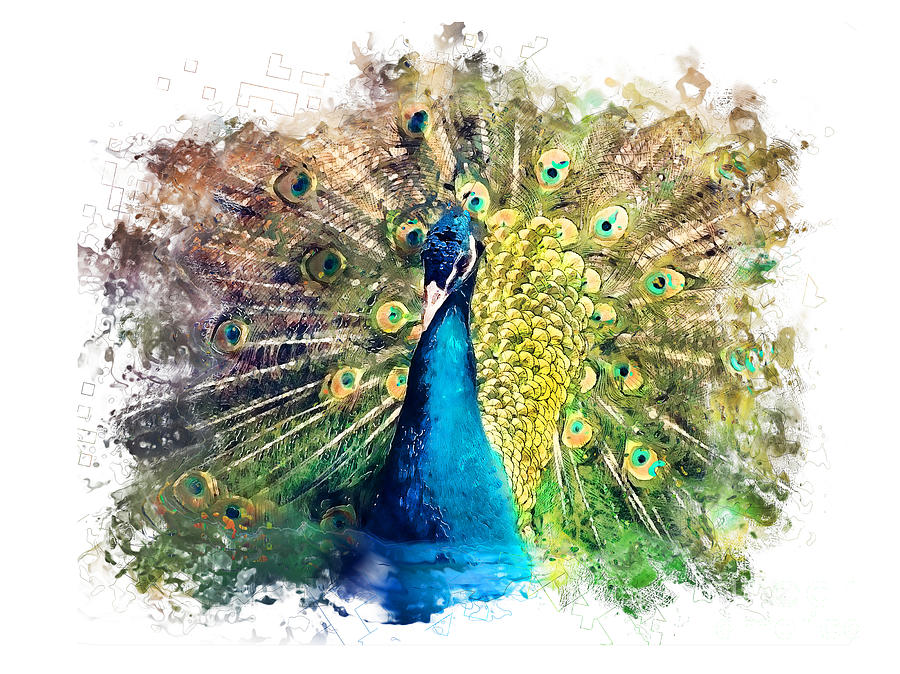 900x674 Peacock Watercolor Painting Painting By Justyna Jbjart - Peacock Painting Watercolor