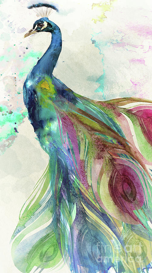 502x900 Peacock Watercolor Paintings Fine Art America - Peacock Painting Watercolor