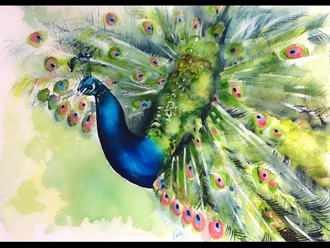 480x360 Watercolor Peacock Painting Demonstration - Peacock Painting Watercolor