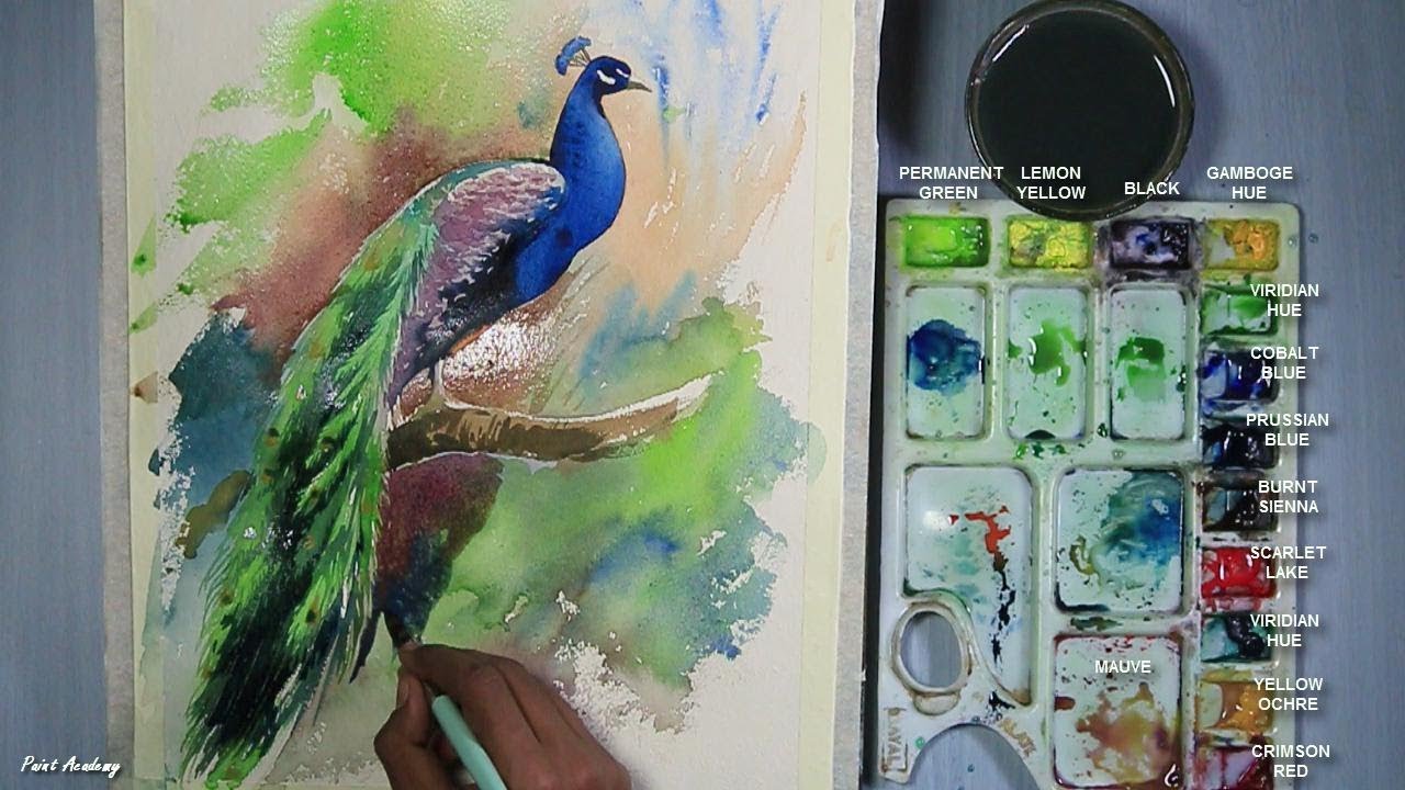 1280x720 How To Paint A Peacock In Watercolor Step By Step - Peacock Painting Watercolor