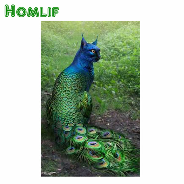 640x640 Homlf 2.8mm Diy Diamond Cats With Peacock Tail Painting Cross - Peacock Tail Painting