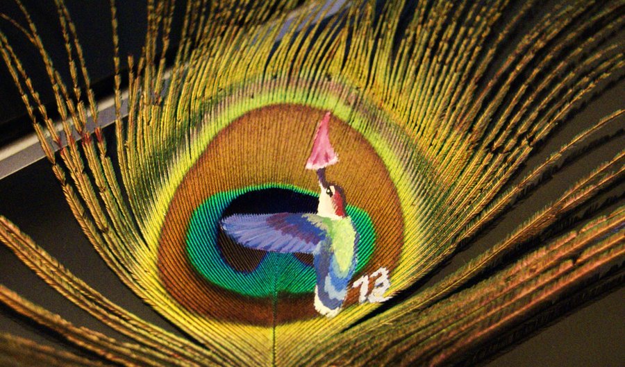 900x529 Hummingbird Painting Peacock Feather By Windrunner13 - Peacock Tail Painting