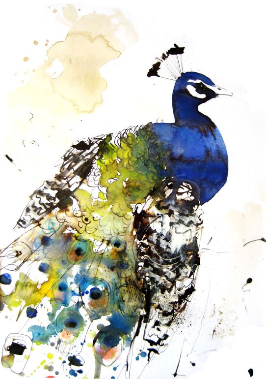 544x770 Peacock Lucy Newton - Peacock Watercolor Painting