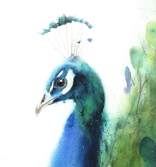 600x646 Peacock Watercolor Print Watercolor Animal Paintings - Peacock Watercolor Painting