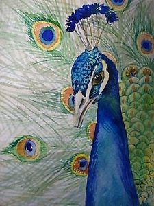 225x300 Watercolor Painting Peacock Bird Feathers Nature 5x7 Art Ebay - Peacock Watercolor Painting