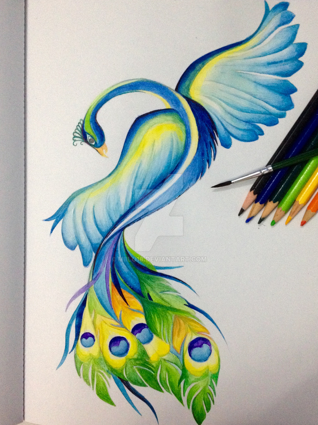 1024x1366 Watercolor Paintings Of Peacocks Watercolor Peacock By Miilo18 - Peacock Watercolor Painting