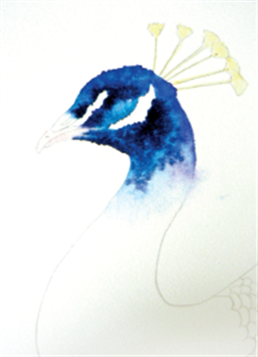 530x731 How To Paint A Peacock In Watercolour With Alison Fennell - Peacock Watercolor Painting