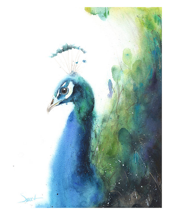 570x725 Peacock Art Print Peacock Watercolor Peacock Wall Art - Peacock Watercolor Painting