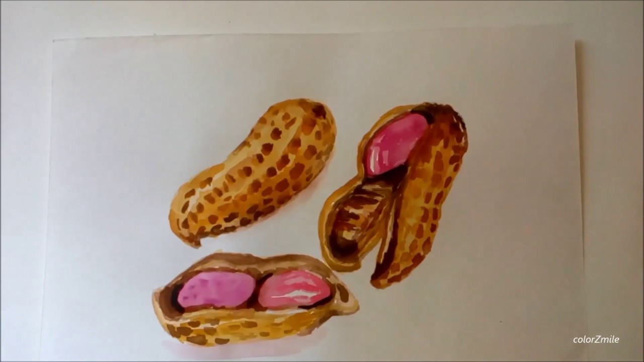 1280x720 Peanuts Painting In Watercolour - Peanut Painting