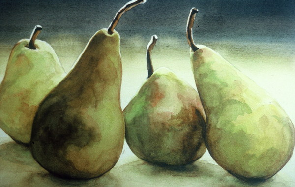 600x381 Pears - Pear Still Life Painting