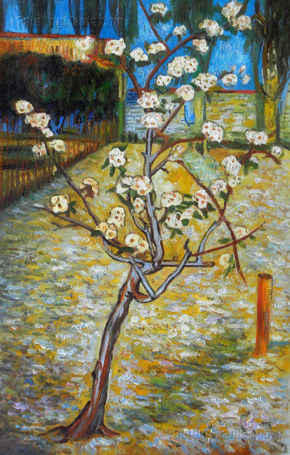 980x1535 Pear Tree In Blossom - Pear Tree Painting