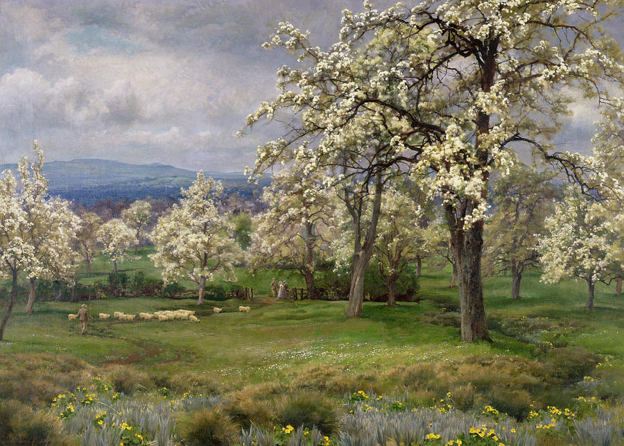900x643 The Pear Orchard Painting By Alfred Parsons - Pear Tree Painting