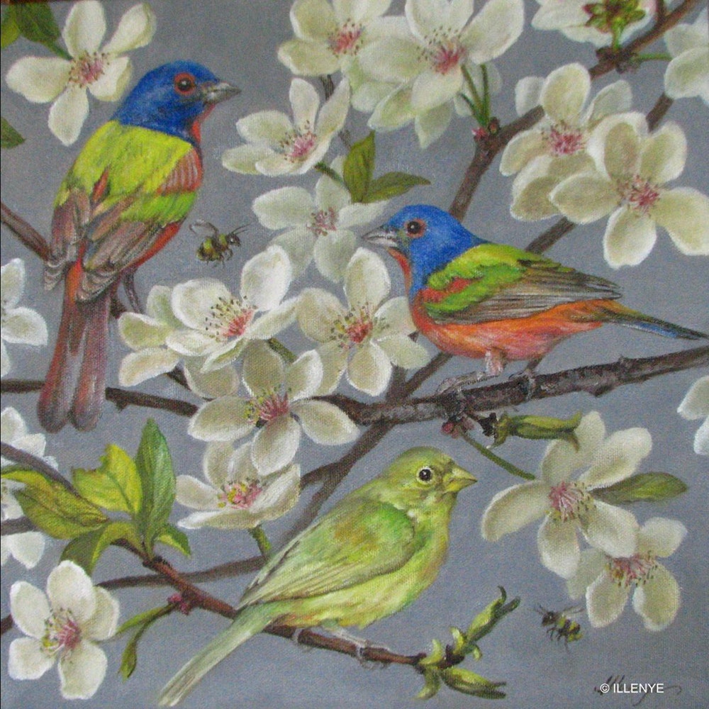 1000x1000 Colorful Painted Buntings In Spring Blossoming Pear Tree Oil - Pear Tree Painting