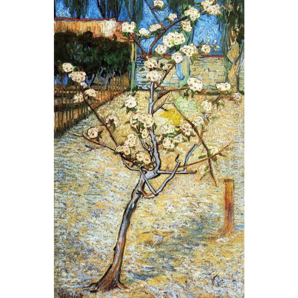 1000x1000 Hand Painted Oil Paintings Vincent Van Gogh Canvas Art Pear Tree - Pear Tree Painting