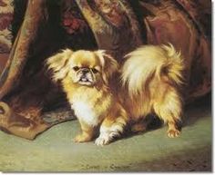 236x193 Gorgeous Little Pekingese Cross Stitch Nobody Parties Like - Pekingese Painting