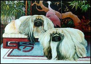 295x207 P.m.l.prints Watercolor Pekingese Painting By Phyllis Lawicki - Pekingese Painting