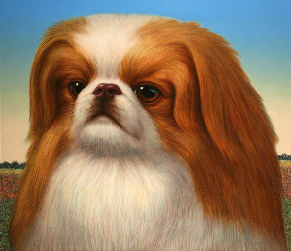 599x518 Pekingese Art Print By James W Johnson - Pekingese Painting
