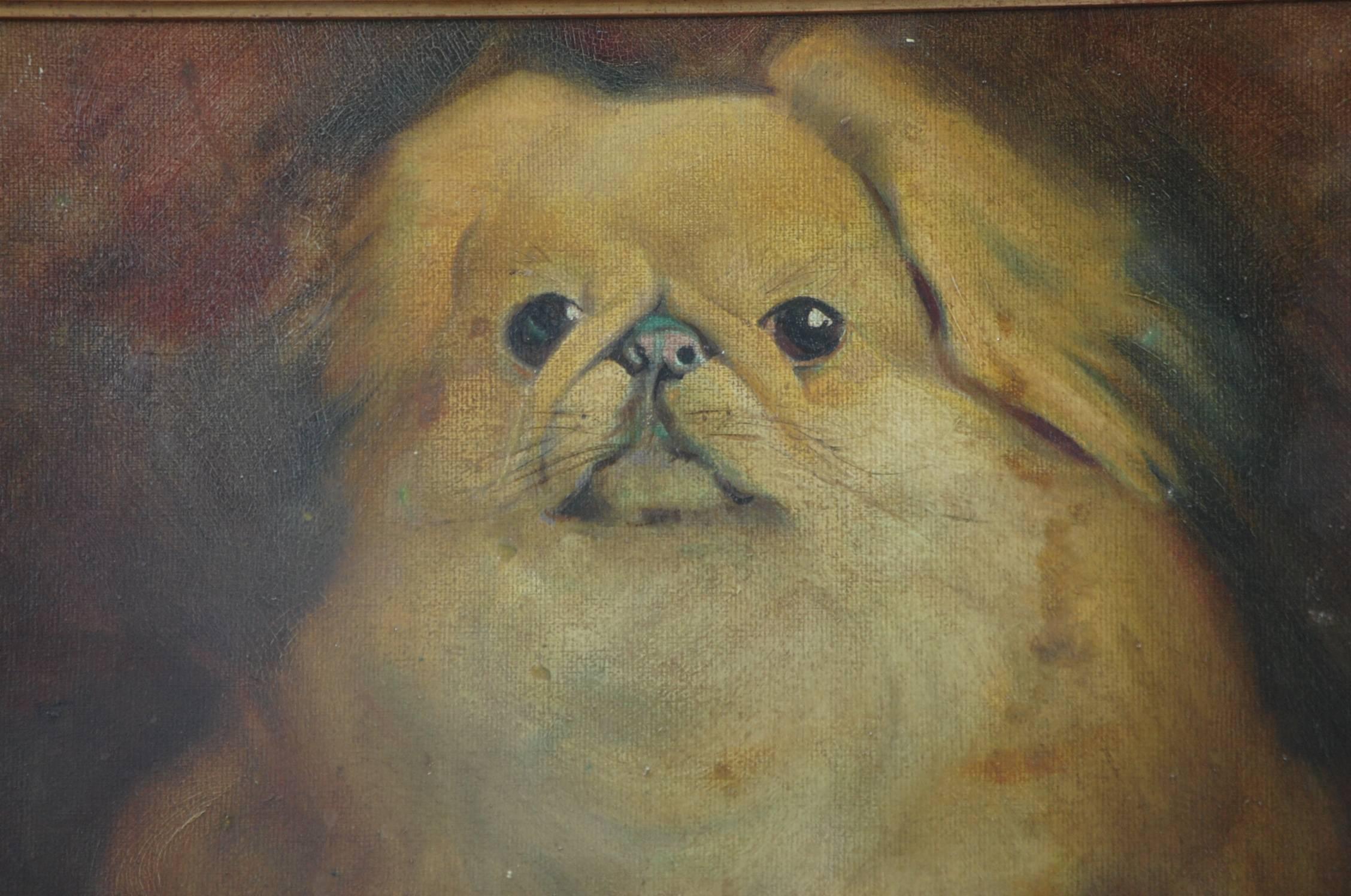 2256x1496 Pekingese Dog Oil Painting On Board - Pekingese Painting