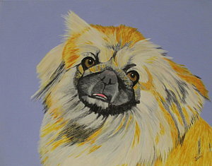 300x235 Pekingese Dog Paintings - Pekingese Painting