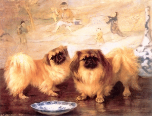 300x229 Pekingese Origins, Temprament, Health Issues, Grooming - Pekingese Painting