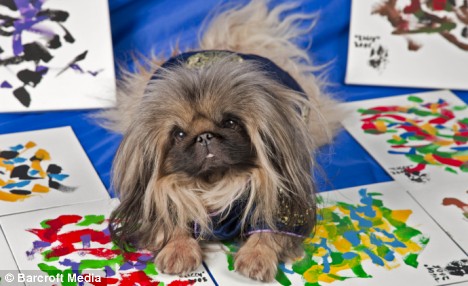 468x286 Pekingese Dog Paints Abstract Art - Pekingese Painting