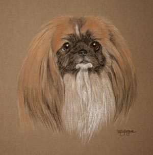 300x304 Pekingese Pictures Paintings And Portraits Plus Dog Breed Information - Pekingese Painting