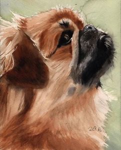 242x300 Giclee Print Pekingese Dog Watercolor Painting Art Pet Portrait Ebay - Pekingese Painting