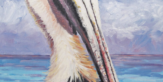 540x272 Pelican Painting Seabird Painting Bird Painting Archives - Pelican Painting