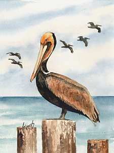 225x300 Pelican Paintings Fine Art America - Pelican Painting