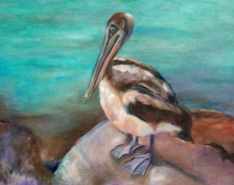 761x600 Pelican Painting Wall Art Beach Decor Pelican Art For Beach - Pelican Painting