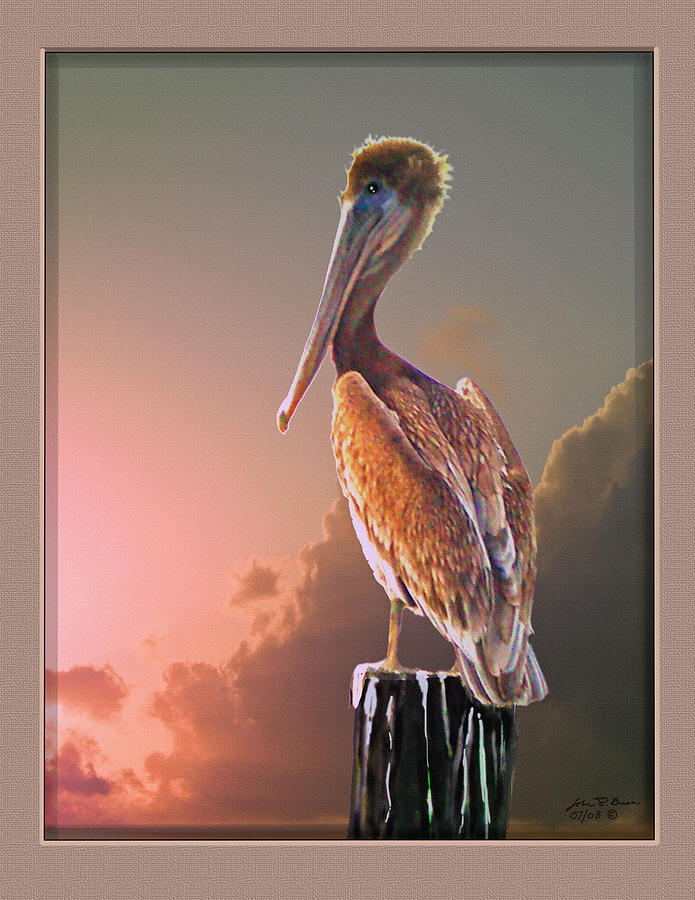695x900 Sly Pelican Painting By John Breen - Pelican Painting
