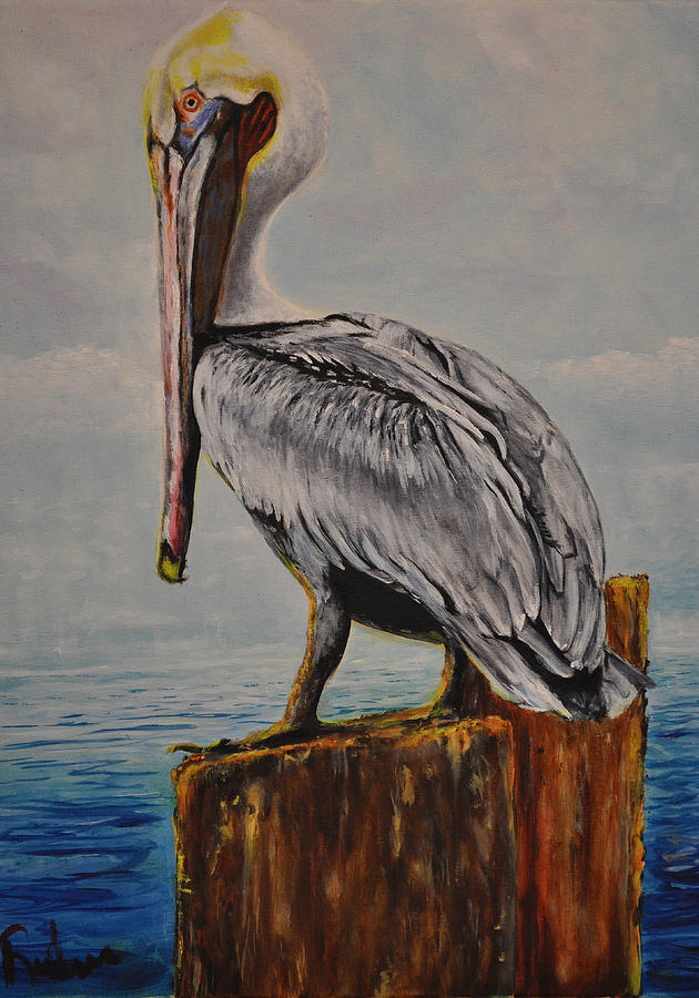 630x900 Da Pelican Painting By Ruben Barbosa - Pelican Painting