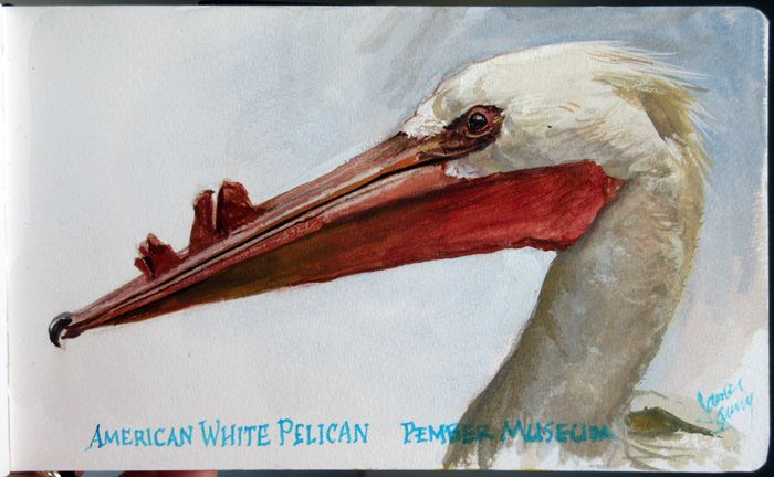 700x432 Gurney Journey Painting A Pelican - Pelican Painting On Wood