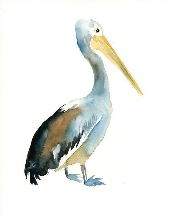 Pelican Watercolor Painting