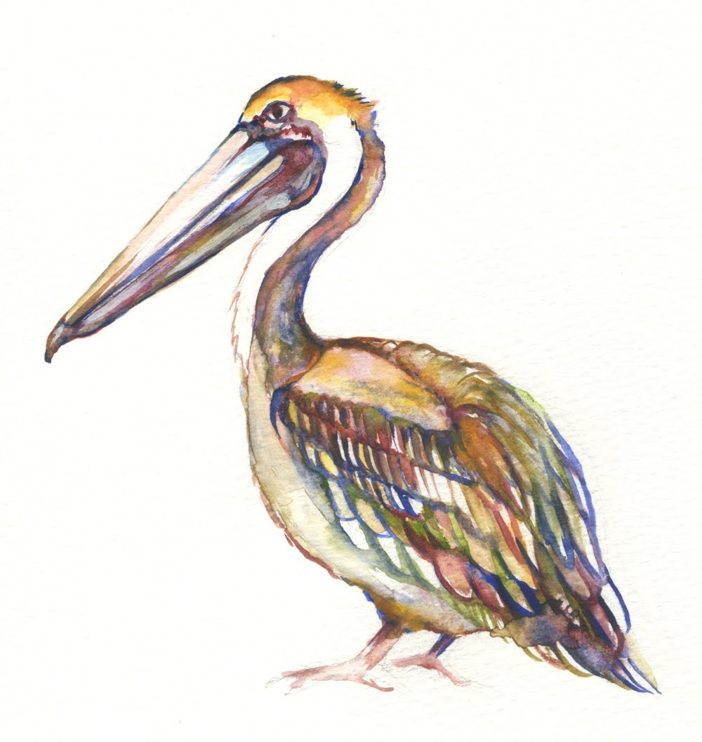 1000x1057 Nicola's Art Room More Watercolor Studies Stripes! - Pelican Watercolor Painting