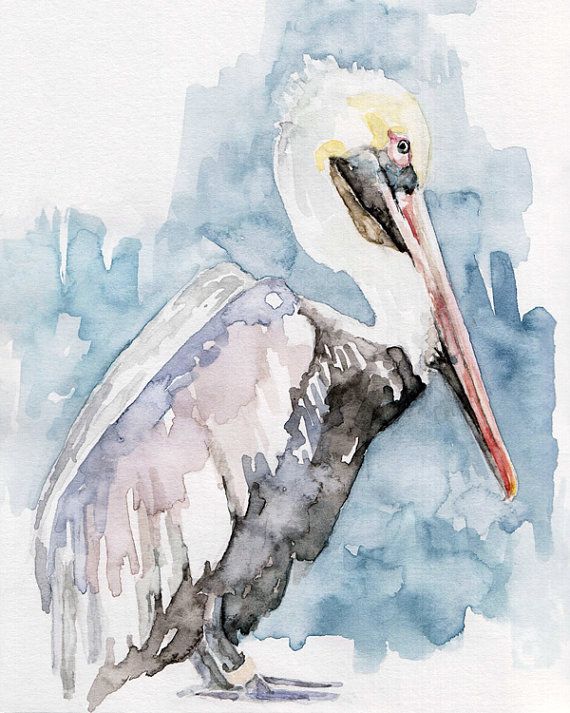 570x713 209 Best Watercolor Inspiration Images On Calligraphy - Pelican Watercolor Painting