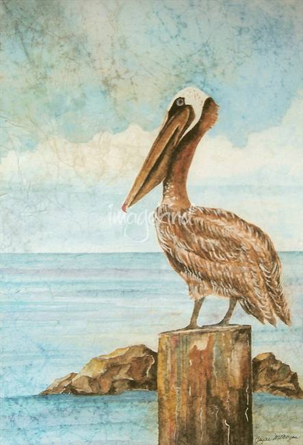 443x650 Pelican Watch By Jayne Morgan - Pelican Watercolor Painting