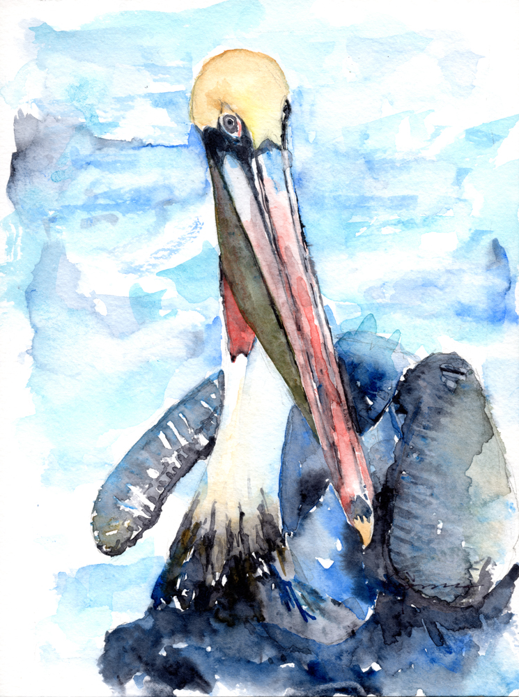745x1000 Pelican Watercolor Painting - Pelican Watercolor Painting