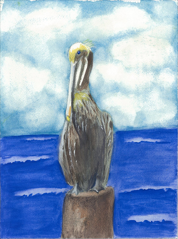 Pelican Watercolor Painting at PaintingValley.com | Explore collection ...