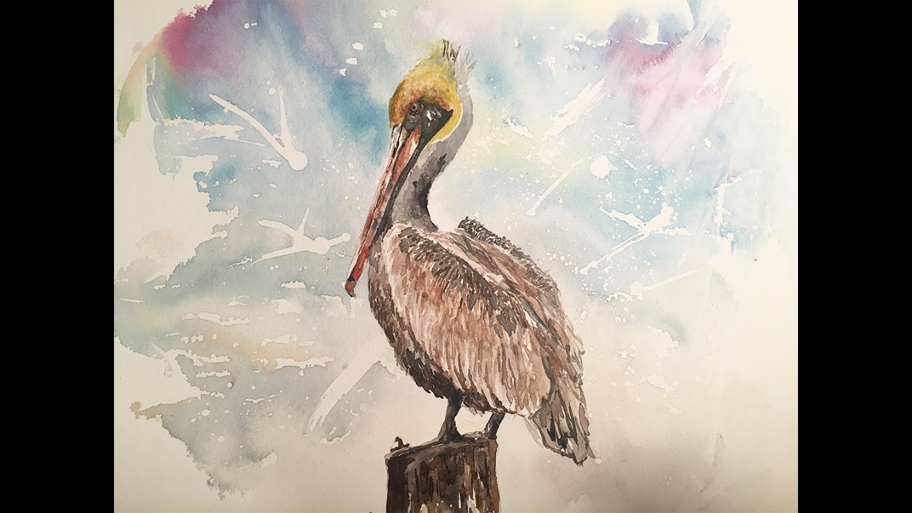 1280x720 Pelican In Watercolor - Pelican Watercolor Painting
