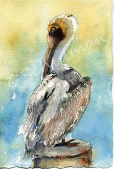 236x348 Poulpe Artwork Artwork - Pelican Watercolor Painting