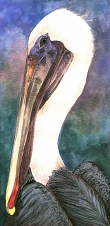 220x450 Stunning Brown Pelican Watercolor Painting Reproductions - Pelican Watercolor Painting