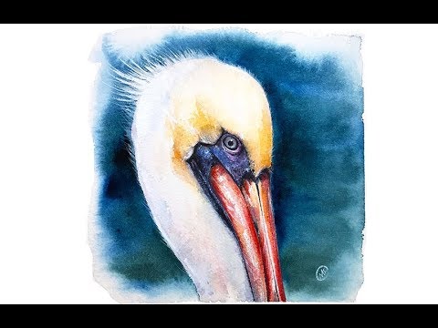 480x360 Watercolor Pelican Painting Tutorial - Pelican Watercolor Painting