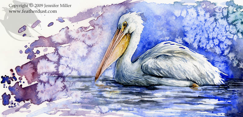 800x385 American White Pelican By Nambroth - Pelican Watercolor Painting