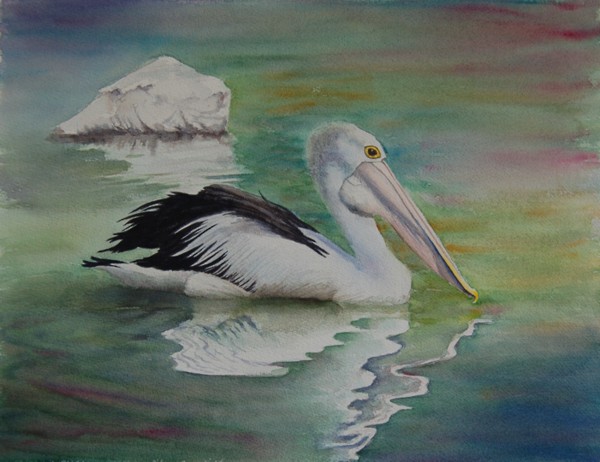 600x462 Betty Gerstner's China Painting Information On The Web - Pelican Watercolor Painting