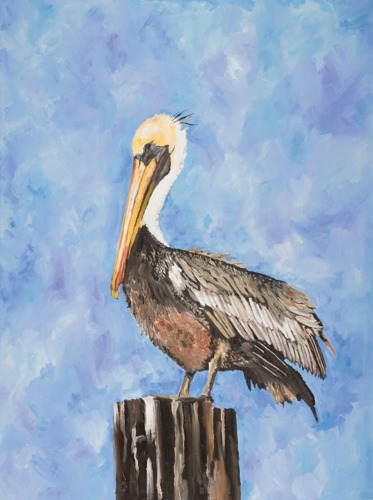 Pelican Watercolor Painting at PaintingValley.com | Explore collection ...