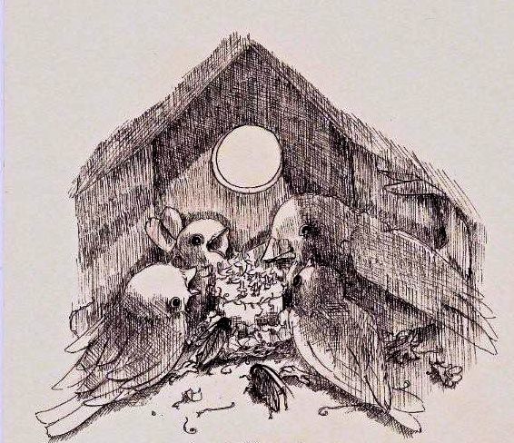 566x488 Pretty In Ink An Overview Of Pen And Ink Illustration - Pen And Ink Painting