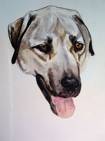 350x468 Mixed Media Tutorial Learn How To Combine Colored Pencils - Pencil Colour Painting