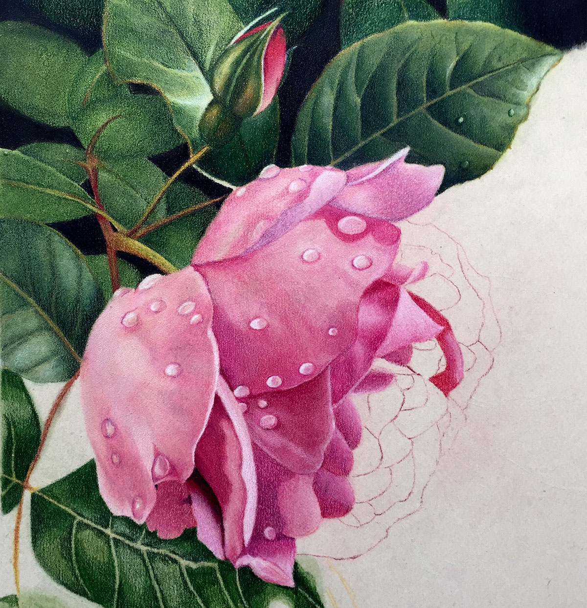 1200x1243 Brush And Pencil' Products For Gorgeous Coloured Pencil Painting - Pencil Colour Painting