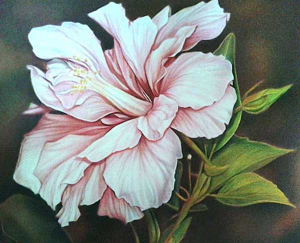 600x486 Colored Pencil Art Archives - Pencil Colour Painting